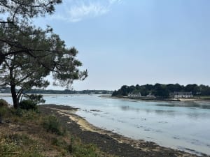 Wandeling langs de oevers van de Golf van Morbihan tussen Pointe de Bernon en Pointe de l'Ours - Sarzeau - 14