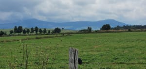 Paysages de lauzes et balade autour du Lac Bleu - Mazet-Saint-Voy - 21