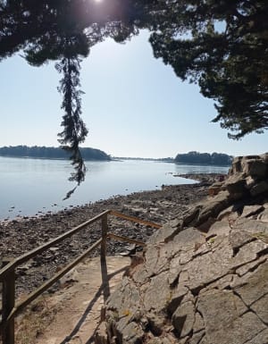 Le tour de Larmor Baden entre mer et marais - Larmor-Baden - 22