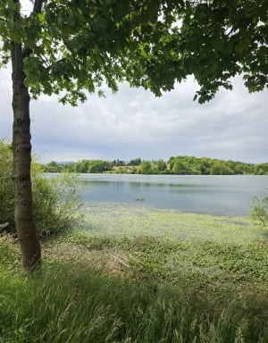 Balade au Lac du Gabas - Gardères - 9