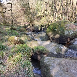 Gorgesde Toul Goulic - Lanrivain - 9