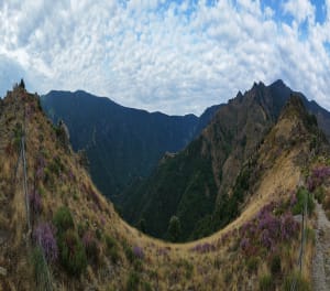 Sentier des 4 000 marches et envolée au Mont Aigoual - Valleraugue - 18