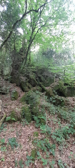Circuit de la Chapelle Notre-Dame du Guelhouit - Melrand - 9