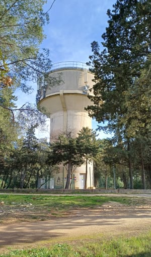 Aiguelongue - Parc Montmaur - Montpellier - 5