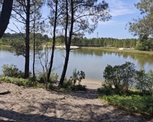 Tour du lac de Saint Jean d'Illac - Saint-Jean-d'Illac - 2