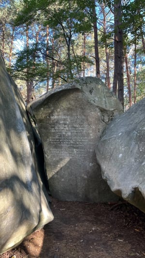 Petite ascension du Mont Aigu et grandeur de la forêt - Fontainebleau - 10