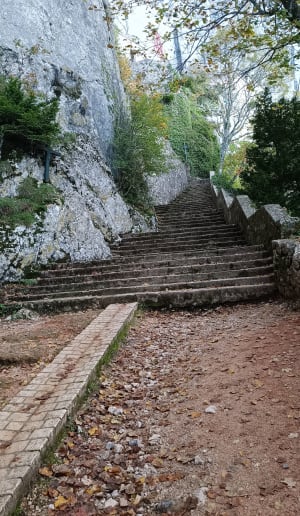 Ontsnap naar het Sainte-Baume-massief naar Saint-Pilon - Plan-d'Aups-Sainte-Baume - 31