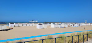 Flower power sur la plage de Calais et Fort Risban - Calais - 7