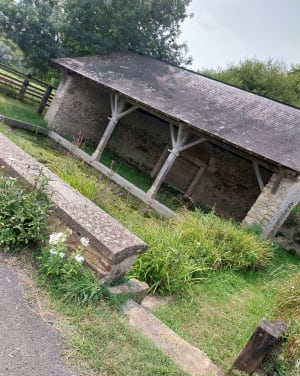 Balade sur les rives du Loir à Villevêque et paysage rural - Rives-du-Loir-en-Anjou - 9