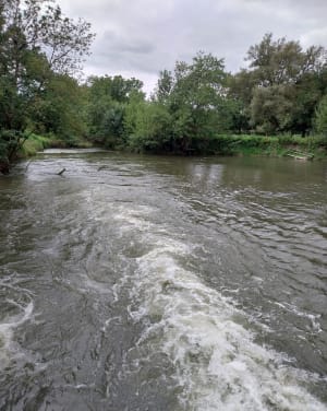 Balade sur les rives du Loir à Villevêque et paysage rural - Rives-du-Loir-en-Anjou - 12