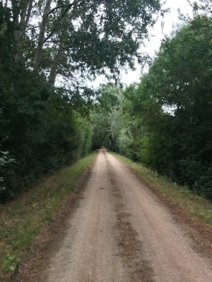 Balade sur les rives du Loir à Villevêque et paysage rural - Rives-du-Loir-en-Anjou - 13