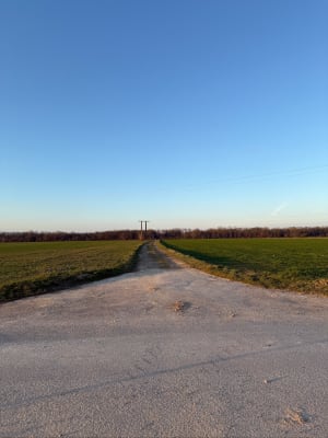 Marche populaire de Reiningue par le plan d'Eau de Reiningue - Reiningue - 2