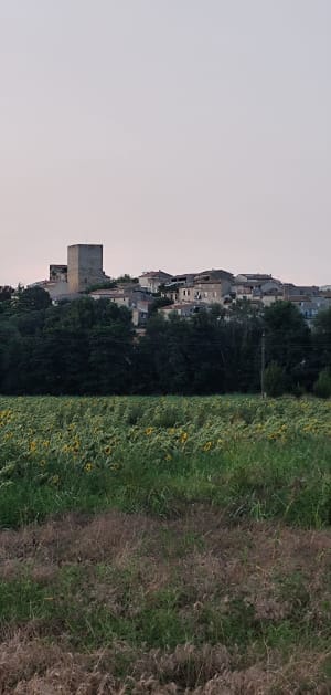 Un petit tour au Gardon depuis Boucoiran - Sophie - 3