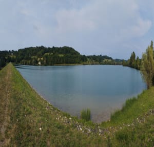 Lacépède, l'observatoire du lac de Salabert - Lacépède - 5