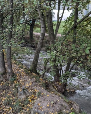 De Annemasse à Machilly - Annemasse - 5