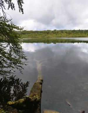 Rando-dessin au lac de Bonlieu - Bonlieu - 30