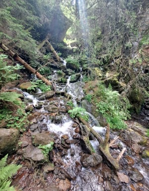 Grande cascade Mont Dore et vue sur le Puy de Sancy - Mario - 31