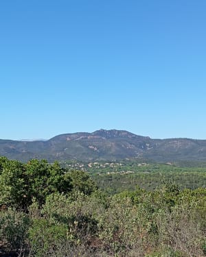 Le Crapa de St Raphaël - Saint-Raphaël - 24