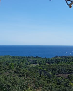 Le Crapa de St Raphaël - Saint-Raphaël - 25