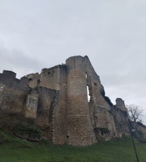 L’angle sur Anglin - Angles-sur-l'Anglin - 15