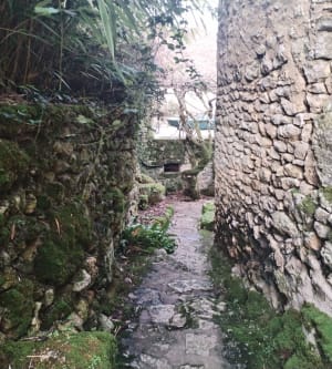 L’angle sur Anglin - Angles-sur-l'Anglin - 16