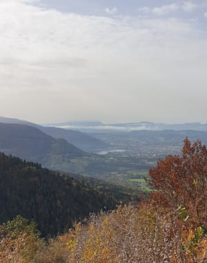 Le Petit Montoir et Chalets des Chappeys - Fillière - 11