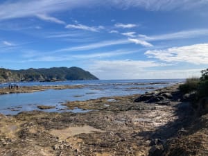 Balade jusqu'à l'île du Grand Gaou - Six-Fours-les-Plages - 16