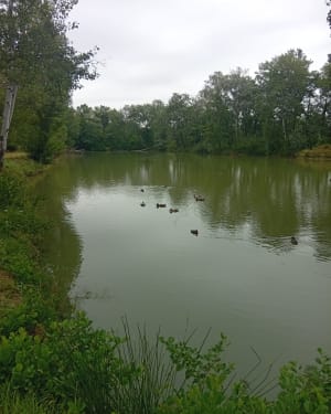 Parc des quinze sols - Beauzelle - 12