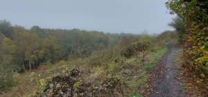 Wandel tussen de bossen en de Pinchonvalles-slakkenberg - Givenchy-en-Gohelle - 24