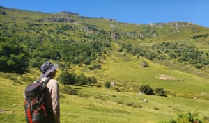 Albepierre et le cirque de Chamalière par les GR® 400 et 465 - Albepierre-Bredons - 10