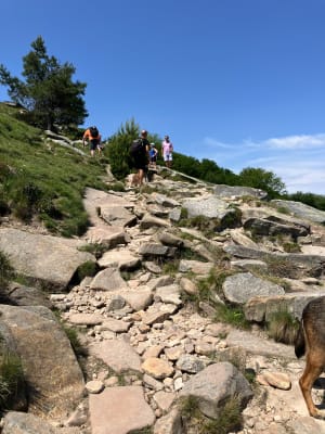 We volgen het kleine Rhune-treintje vanaf de Saint Ignace-pas - Sare (col-de-Saint-Ignace) - 13
