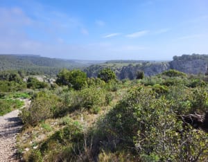 Gorges de la Goutine et grottes préhistoriques - Gruissan - 31
