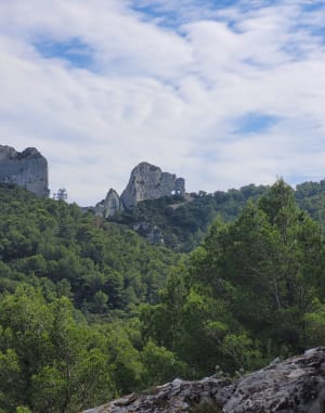 Le lac du Peirou et le Mont Gaussier par le sentier des échelles - Saint-Rémy-de-Provence - 44