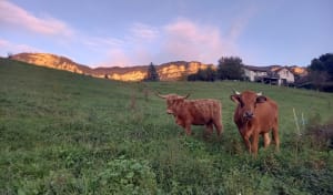 Balade autour de Mouxy - Mouxy - 16