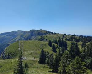 Du col de La Faucille jusqu'au Petit Montrond - La Vieille Faucille, Mijoux - 4