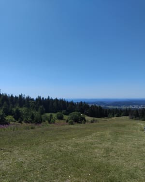 Du col de La Faucille jusqu'au Petit Montrond - La Vieille Faucille, Mijoux - 5