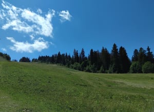 Du col de La Faucille jusqu'au Petit Montrond - La Vieille Faucille, Mijoux - 6