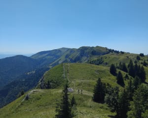Du col de La Faucille jusqu'au Petit Montrond - La Vieille Faucille, Mijoux - 7