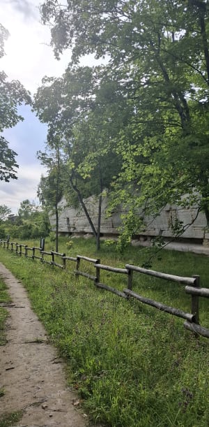Forêt de L'Isle-Adam - L'Isle-Adam - 6