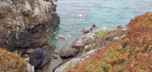 Falaises de Beuzec-Cap-Sizun et envolées sauvages - Rodolphe - 15