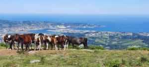 Tour de Xoldoko Gaina et vue panoramique - Biriatou - 12