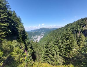 De grote Mont Dore-waterval - Mont-Dore - 52