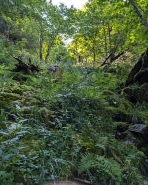 Sentier des Roches par la l'auberge des Trois Fours - Le Valtin - 38