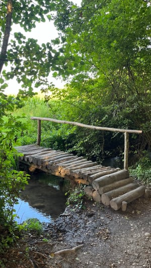 Balade tranquille à l’étang de Gole - Montcarra - 8