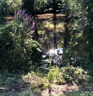 Redon, entre bois et canal - Christine - 4