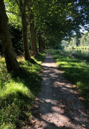Redon, entre bois et canal - Christine - 5
