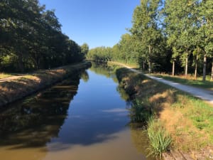 Redon, entre bois et canal - Christine - 6