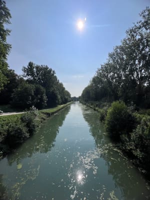 Balade entre le canal de Chelles et la Marne - Vaires-sur-Marne - 13