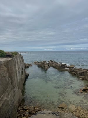 Tour de l'île grande. - Trébeurden - 4