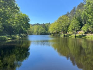 Wandeling in het Elzasser Colorado - Roppeviller - 9